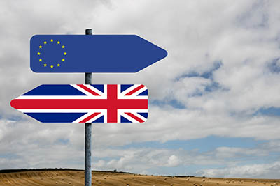 Brexit information for employers and Grooms in the Equine Industry - what is happening?