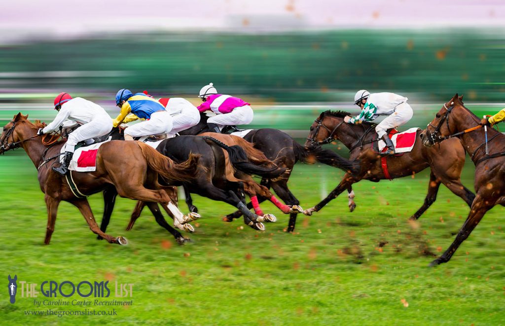 News - Equine flu outbreak sees race meets cancelled - The Grooms List