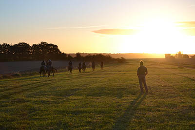 What's it like to work on a pre-training yard - racing industry