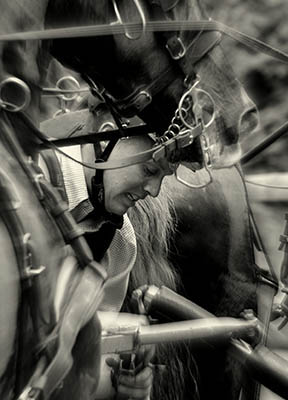 5 differences between horses as a hobby and as a career - sometimes feels relentless