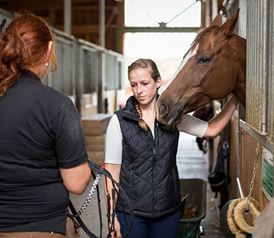 5 reasons why the equine industry needs Apprentice Grooms - doing things someone elses way