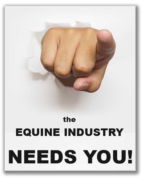 5 reasons why the equine industry needs Apprentice Grooms - the future of the equestrian industry