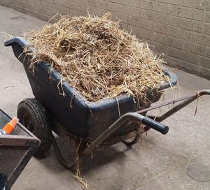 The Ultimate Equestrian Apprentice Startup Kit - Mucking out