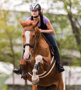 The Ultimate Equestrian Apprentice Startup Kit - Riding
