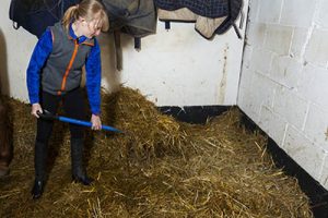 The Ultimate Equestrian Apprentice Startup Kit - Working Pupil