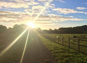 The Ultimate Equestrian Apprentice Startup Kit - Your future equine career