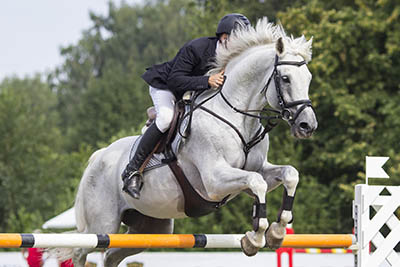The fine art of owning AND working with horses - competiting your own horse