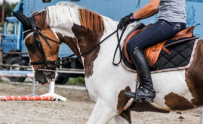 The fine art of owning AND working with horses - fulfilling your own riding ambitions