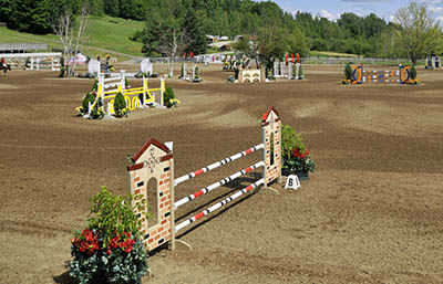 The fine art of owning AND working with horses - using facilities at work