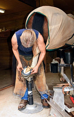 How to maintain a good relationship with the yard Farrier - Equine Professional - work with them