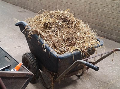 Pushing Wheelbarrows