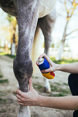 Treating Minor Horse Wounds - sprays and lotions