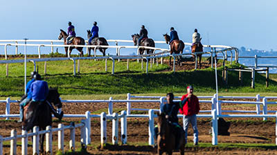 Salaries in the Horse Racing Industry - work clothes and equipment