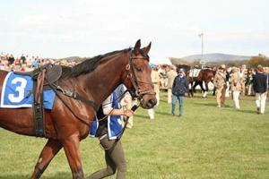 Salaries in the Horse Racing Industry - working away from the yard