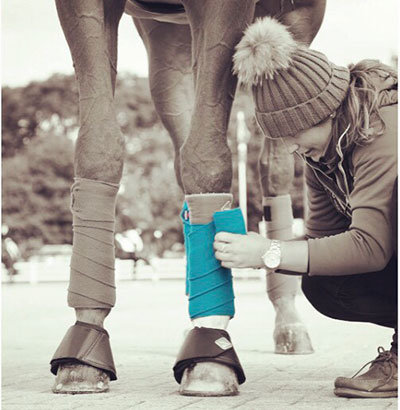 Looking after horses legs is a big responsibility for Grooms