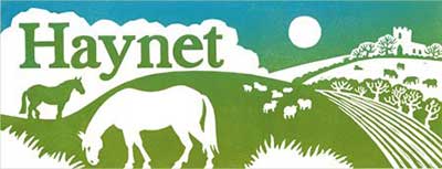 Haynet Blog for Horse Lovers