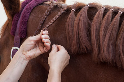 New Years Resolutions for Equine Employers - Train your staff