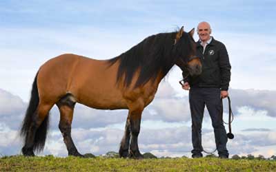 Equestrian Employers Association Conference 2020 - EEA President Tullis Matson