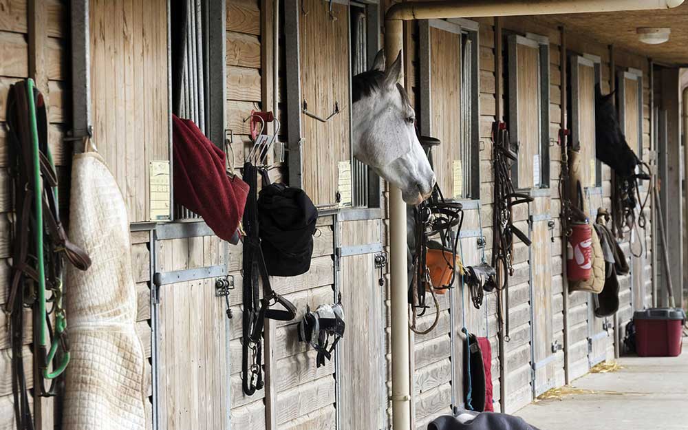 Equestrian Stable Yard